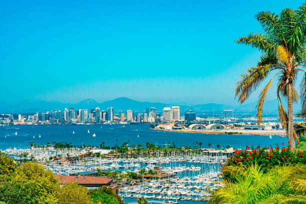 San Diego skyline and bay from one of the landscaped hillsides. Overview from hillsides of San Diego Skyline on the edge of San Diego Bay with all it's boats anchored in the water. san diego stock pictures, royalty-free photos & images