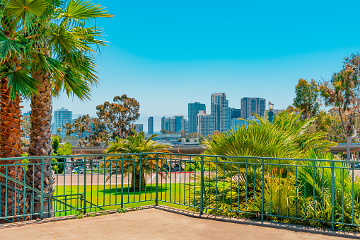 A raised patio with wrought iron railing is surrounded by beautiful landscapeing  of Balboa Park and  stands in front of the skyline of downtown San Diego.