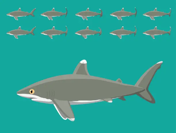 Vector illustration of Animal Animation Sequence Oceanic Whitetip Shark Cartoon Vector