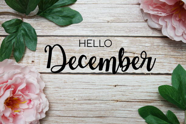istock Hello December typography text with peony flowers on wooden background 1333857861