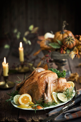 Elegant Holiday Thanksgiving Turkey