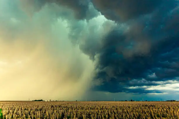 Spectacular Backlit Heavy Rain and Hail shaft from severe supercell thunderstorm over yellow stalks from harvested grain crop