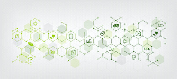 bildbanksillustrationer, clip art samt tecknat material och ikoner med sustainable business or green business vector illustration background. with connected icon concepts related to environmental protection and sustainability in business and hexagon - green background
