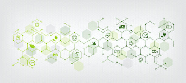 sustainable business or green business vector illustration background. with connected icon concepts related to environmental protection and sustainability in business and hexagon - 可持續性 生活 幅插畫檔、美工圖案、卡通及圖標