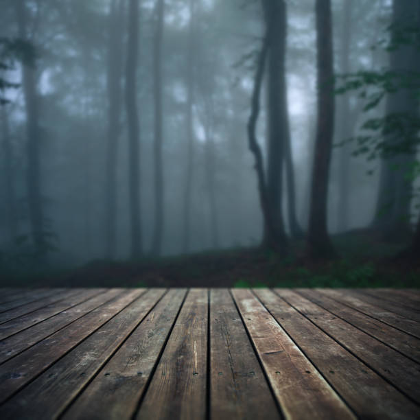 Wooden floor and defocused mysterious forest on background