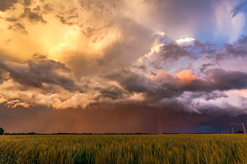 Rainbow appearing over verdant grain crop under colourful severe thunderstorm clouds at sunset: Oklahoma, sunburst.