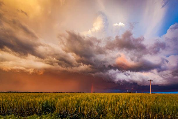 istock Rainbow appearing over grain crop under severe thunderstorm clouds at sunset 1333869948