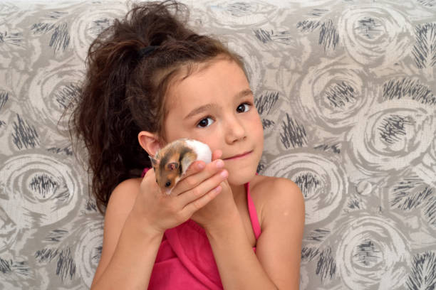 istock Young girl with her pet hamster 1333873339
