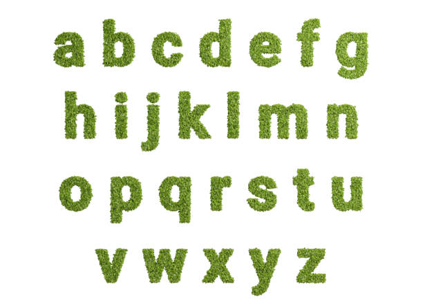 istock 3d rendering green growing leaves letter isolated on white 1333874391