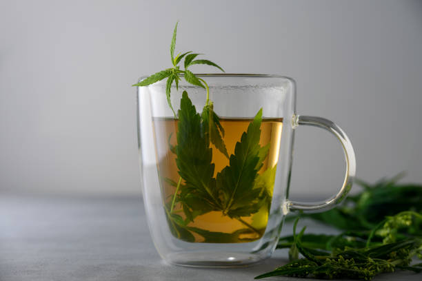 istock Cup of herbal cannabis tea 1333876162