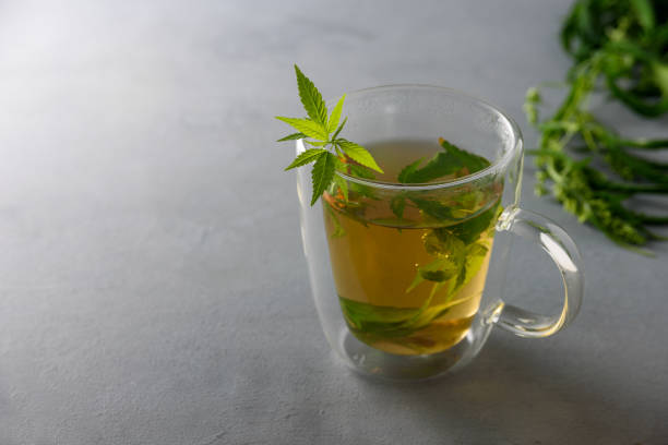 istock Cup of herbal cannabis tea 1333876194