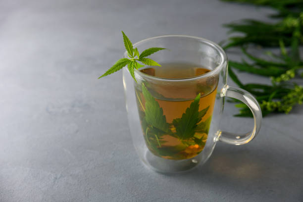 istock Cup of herbal cannabis tea 1333876305