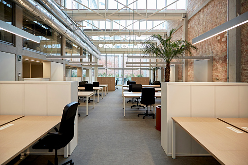 Espacio de oficinas de estilo industrial de planta abierta photo