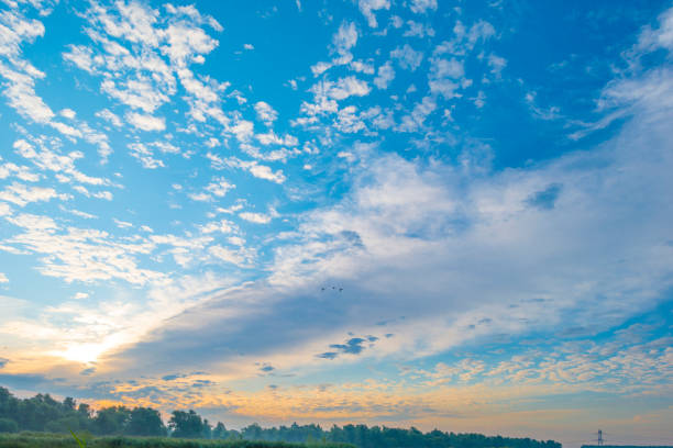 Cirrocumulus clouds in a blue sky in bright sunlight at sunrise in summer, Almere, Flevoland, The Netherlands, August 12, 2021