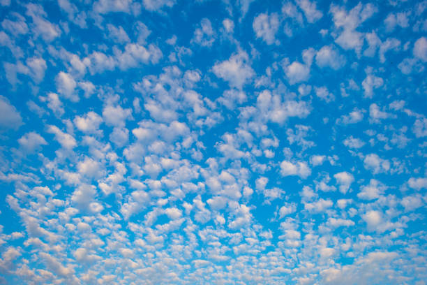 夏の日の出に明るい日差しの中で青空のシロクムルス雲 - cirrocumulus ストックフォトと画像