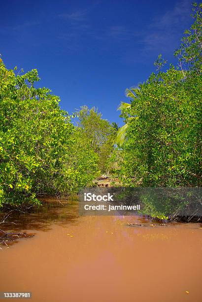 Ricco Di Mangrovie Fangosi Reddish Lagoon Water - Fotografie stock e altre immagini di Acqua - Acqua, Acqua eutrofica, Acqua salmastra