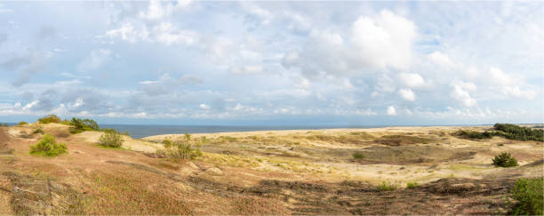 amazing view of sandy grey dunes at the curonian spit. - klaipeda imagens e fotografias de stock