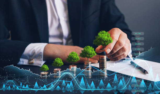 istock Businessman holding coin with tree growing on money coin stack and digital growth graph. Green business growth. Finance sustainable development. 1333883652