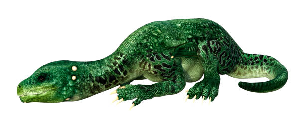 istock 3D illustration fantasy dragon on white 1333883705