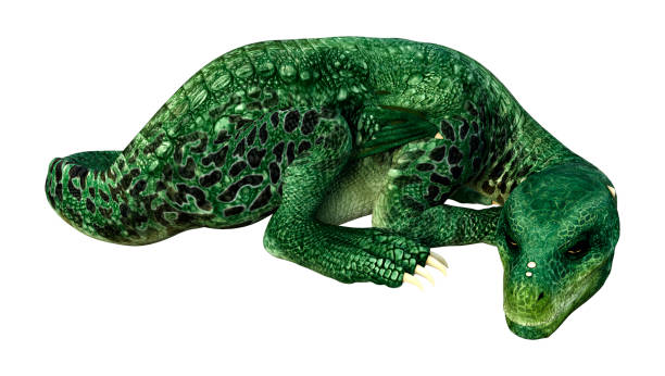 istock 3D illustration fantasy dragon on white 1333883711