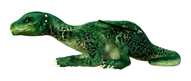 istock 3D illustration fantasy dragon on white 1333883716