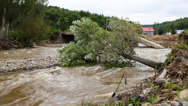 un puente roto por la inundación en un pequeño pueblo. árbol caído en el arroyo - flood fotografías e imágenes de stock