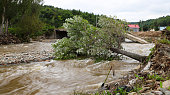 A bridge broken by flood in a small village. Fallen tree in the creek