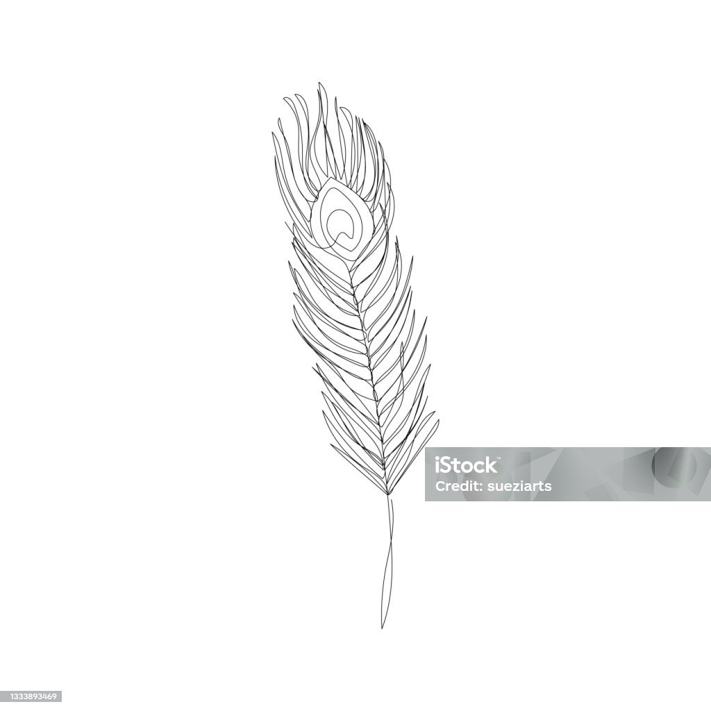 Ilustración de Hermosa Pluma De Pavo Real En Continuo Dibujo De Una Línea  Arte Minimalista y más Vectores Libres de Derechos de Diseño de línea  continua - iStock