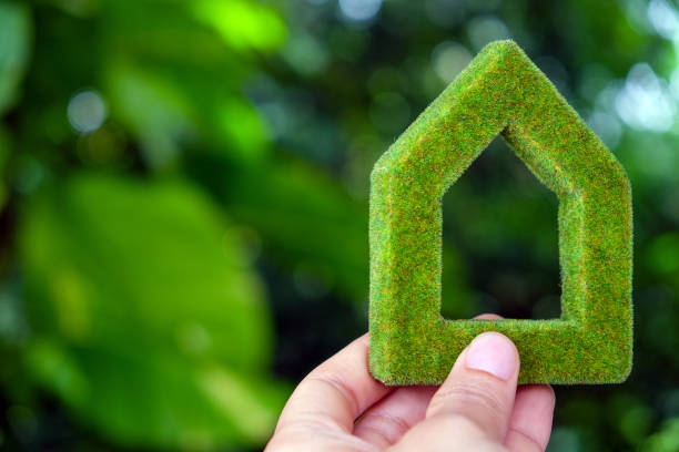 istock Green house icon concept 1333894316