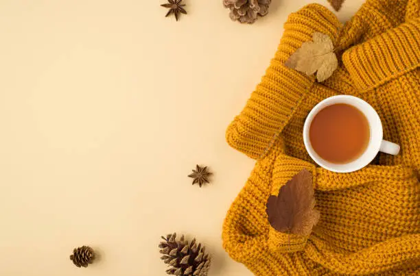 Photo of Top view photo of cup of tea on yellow pullover autumn brown leafage anise and pine cones on isolated light beige background with blank space