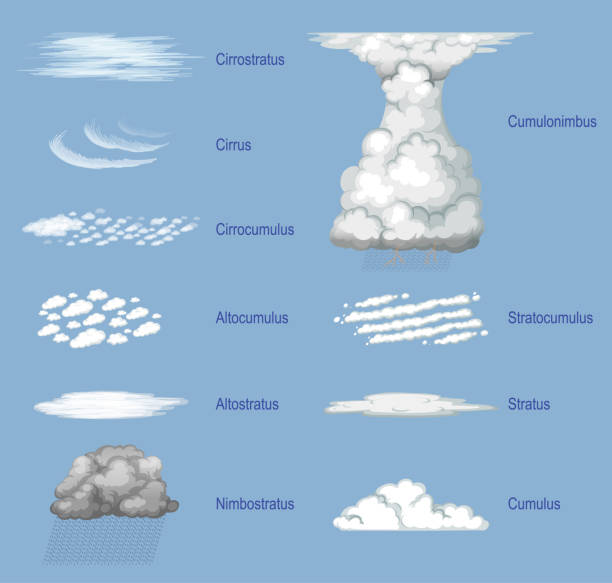 illustrazioni stock, clip art, cartoni animati e icone di tendenza di i diversi tipi di cloud con nomi - massa di nuvole