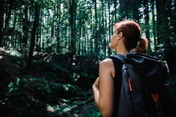 istock Female hiker with backpack enjoying hiking in forest. 1333897528