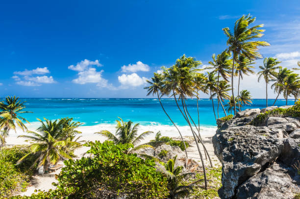 istock Bottom Bay beach in Barbados 1333901993