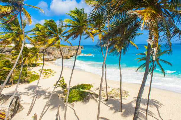 istock Bottom Bay beach in Barbados 1333902056