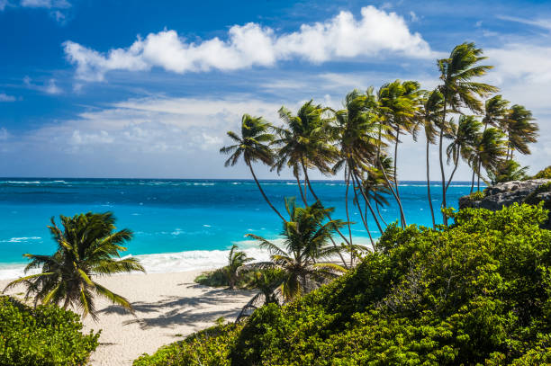 istock Bottom Bay beach in Barbados 1333902078