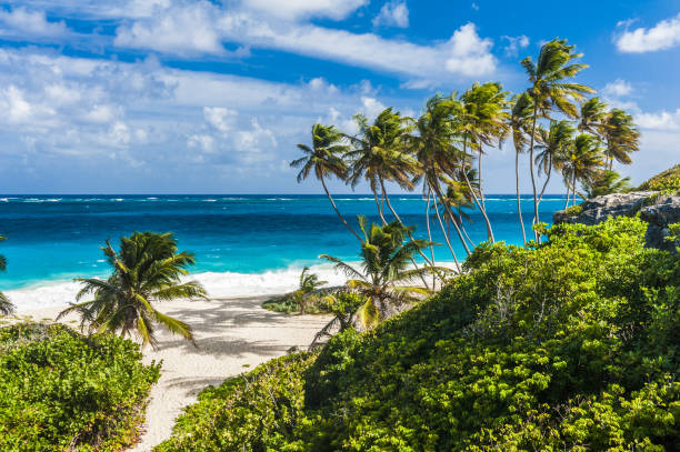 istock Bottom Bay beach in Barbados 1333902088