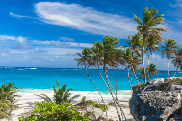 istock Bottom Bay beach in Barbados 1333902110