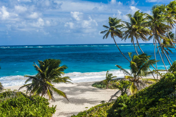 istock Bottom Bay beach in Barbados 1333902117
