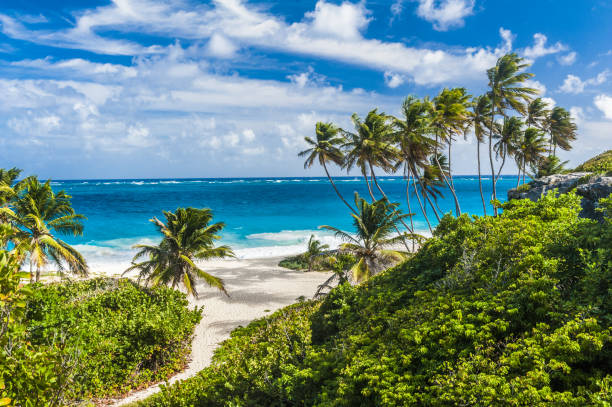 istock Bottom Bay beach in Barbados 1333902188