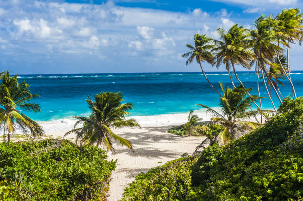 istock Bottom Bay beach in Barbados 1333902204