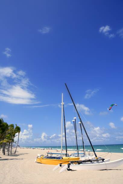 istock Fort Lauderdale catamaran beach Florida 1333907809