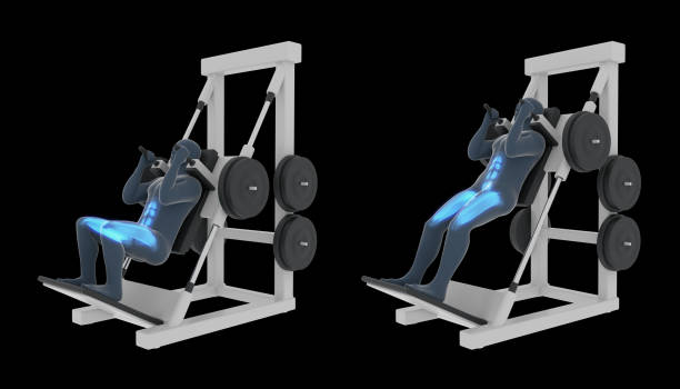 3d иллюстрация хака squat
тренировка - crouching exercising anatomy human muscle стоковые фото и изображения