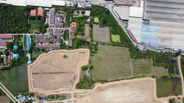 istock Area of large plant from top view 1333909461