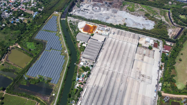 istock Area of large plant from top view 1333909537