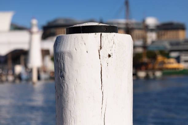 istock Tall white wharf post with large crack 1333910972