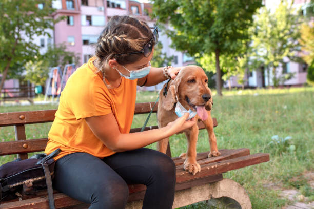 istock Woman and her dog with protective face mask 1333912842