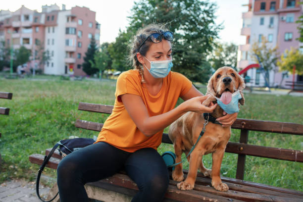 istock Woman and her dog with protective face mask 1333912848