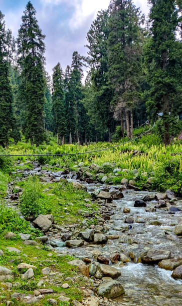 istock Nice view of the mountain river at jammu kashmir, india 1333914106