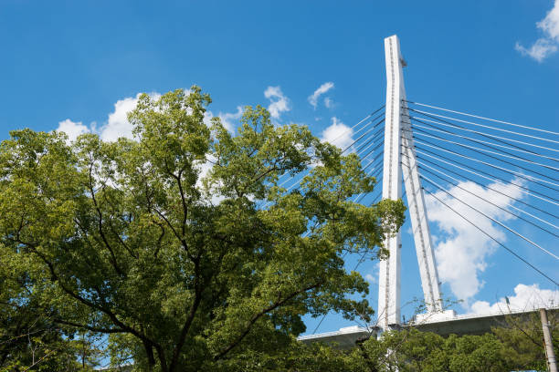 istock Hanshin Expressway No. 5 Wangan Line 1333915057