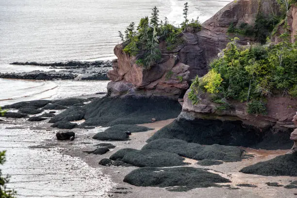 Photo of The unusual rock formations at Hopewell Rocks, Bay of Fundy, New Brunswick, Canada